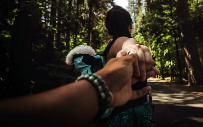 Article Image for A Practical Guide to Leading With Purpose and Empathy