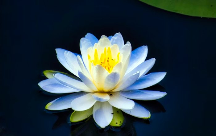 Article Image for Beauty Rituals That Double as Meditation