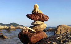 Article Image for Global Perspectives on Wellness and Balance