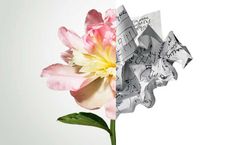 Key Leadership Qualities Women Can Cultivate