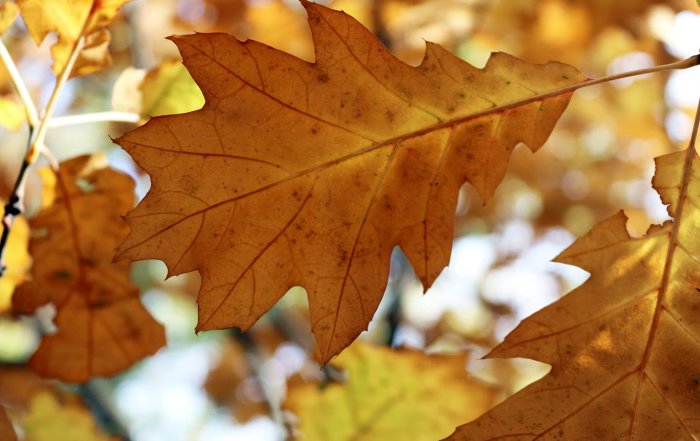 Article Image for Skincare for Changing Climates and Seasons