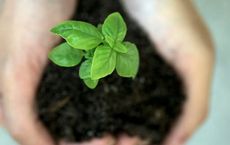 Article Image for The Role of Self Care in Sustainable Success