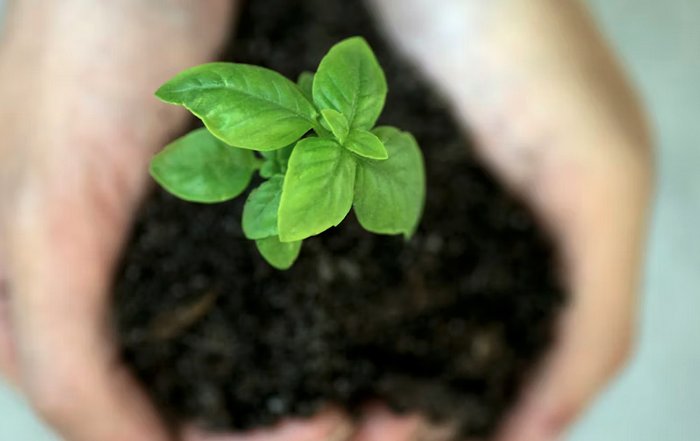 Article Image for The Role of Self Care in Sustainable Success