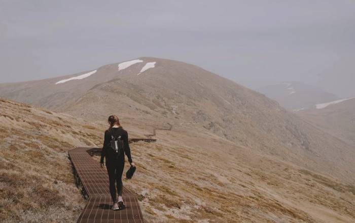 Trailblazing Female CEOs Lessons from the Top